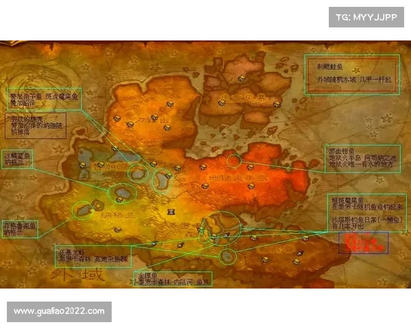 魔兽世界怀旧服：宠物血量中心探索